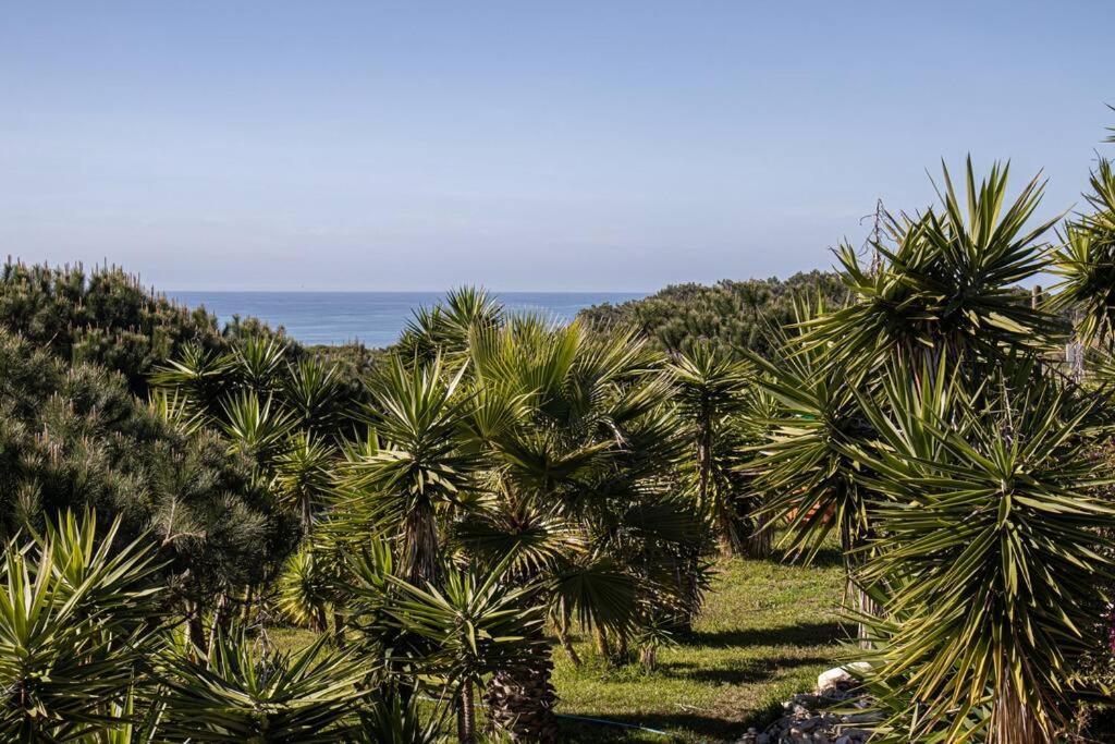 Pe Na Praia Torres Vedras Bagian luar foto